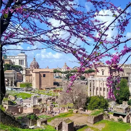 Ara Vatican Rom